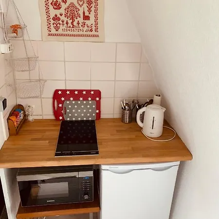 Private In Historic Castle From 1608 With Tenniscourt Zeitlofs