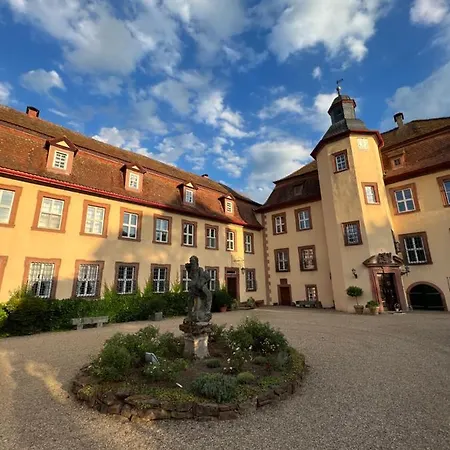 Private In Historic Castle From 1608 With Tenniscourt * Zeitlofs