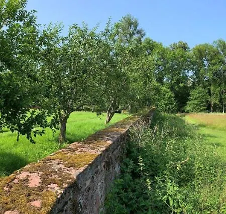 Apartman Private In Historic Castle From 1608 With Tenniscourt *